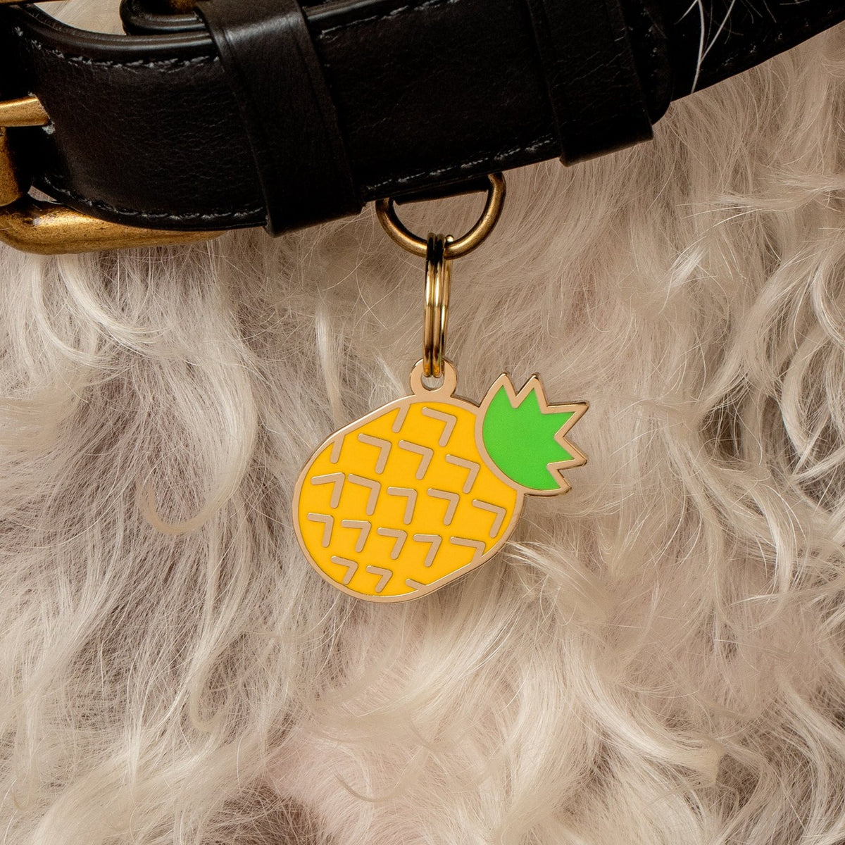 Pineapple Pet ID Tag - 3 Red Rovers
