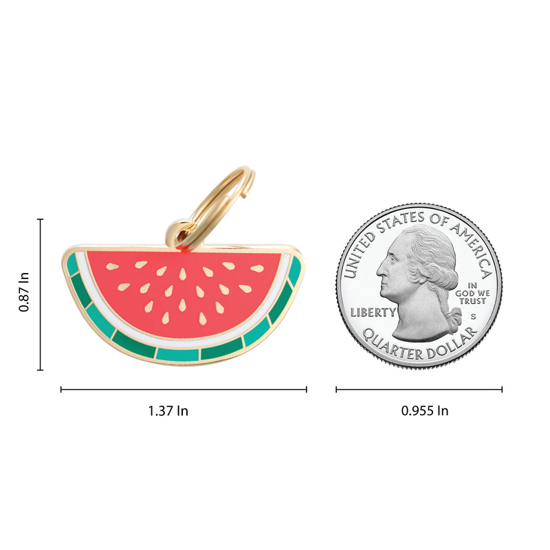 Watermelon Pet ID Tag - 3 Red Rovers