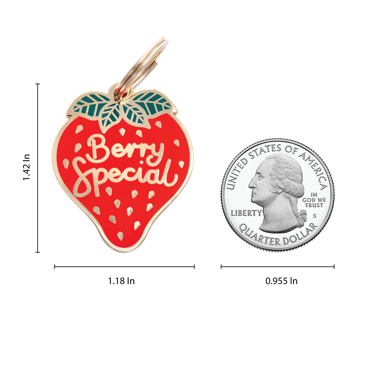 Berry Special Pet ID Tag - 3 Red Rovers
