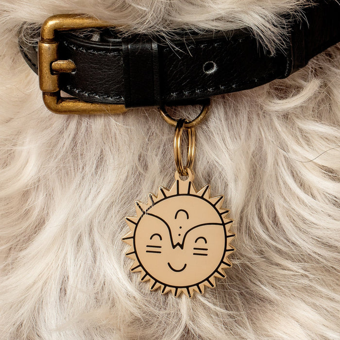 Smiling Sun Pet ID Tag - 3 Red Rovers
