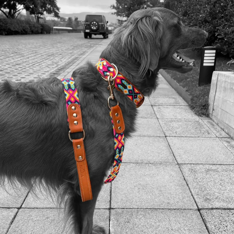 Artisan Rosa Handmade Dog Collars