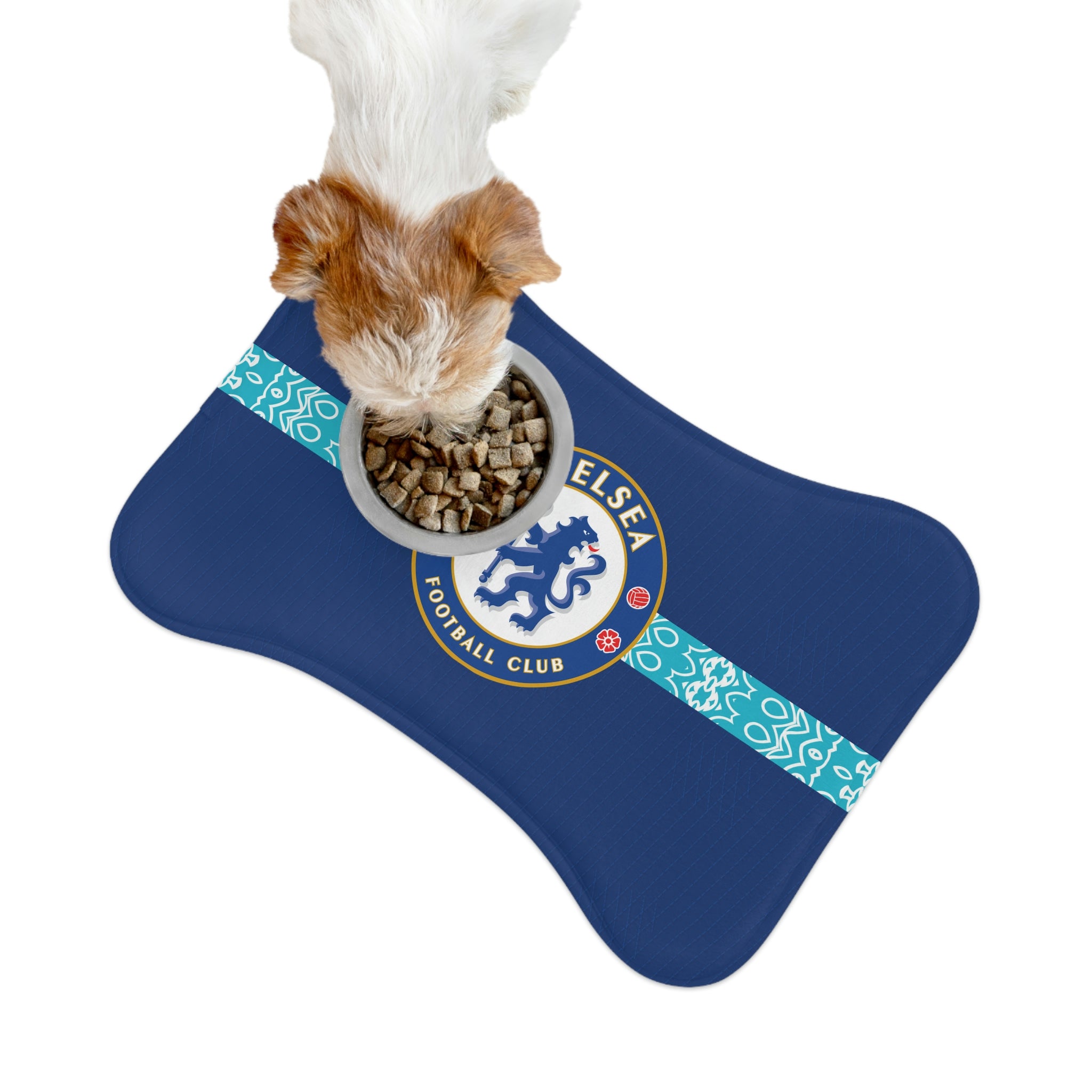 Chelsea fc dog store accessories