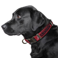 AL Crimson Tide Premium Dog Collar or Leash - 3 Red Rovers