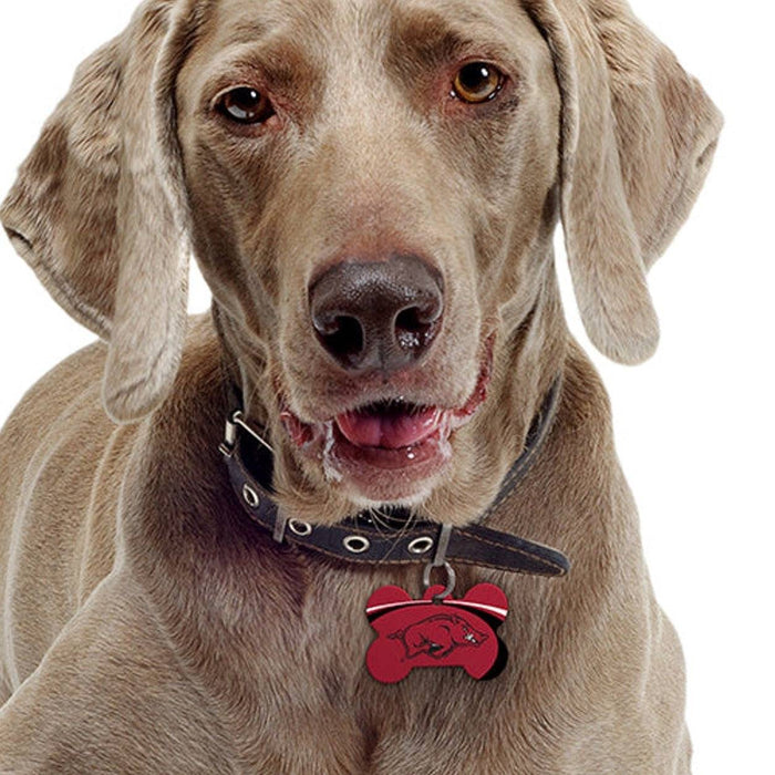 AR Razorbacks Pet ID Tag - Bone - 3 Red Rovers