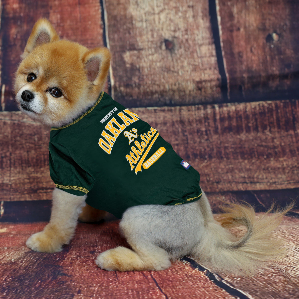 Oakland Athletics Apparel, A's Jersey, A's Clothing and Gear