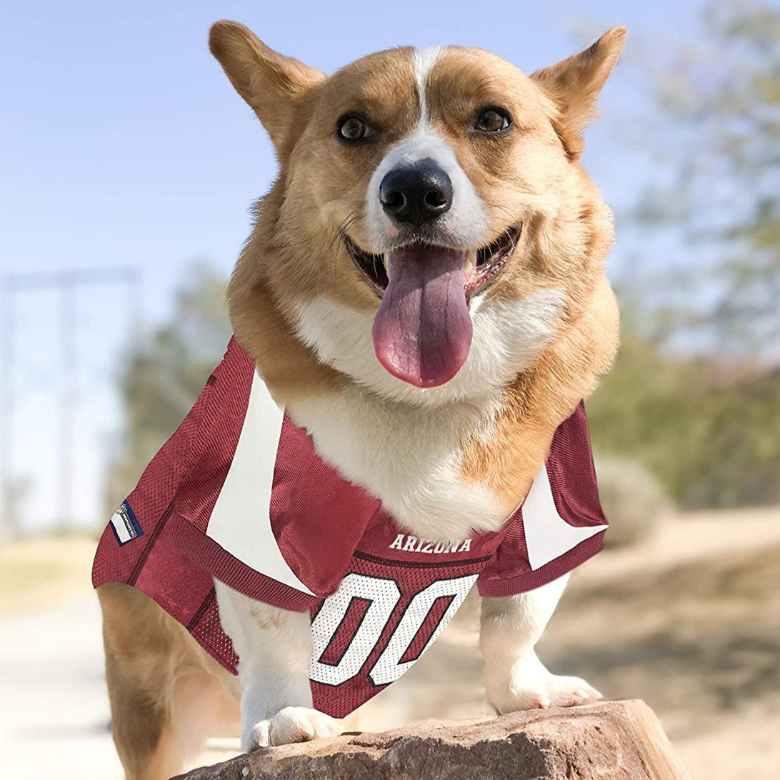 Arizona cardinals hot sale dog jersey