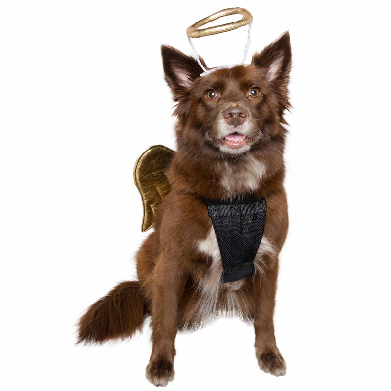 Angel Pet Costume - 3 Red Rovers
