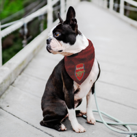 Arsenal FC Premium Bandana - 3 Red Rovers