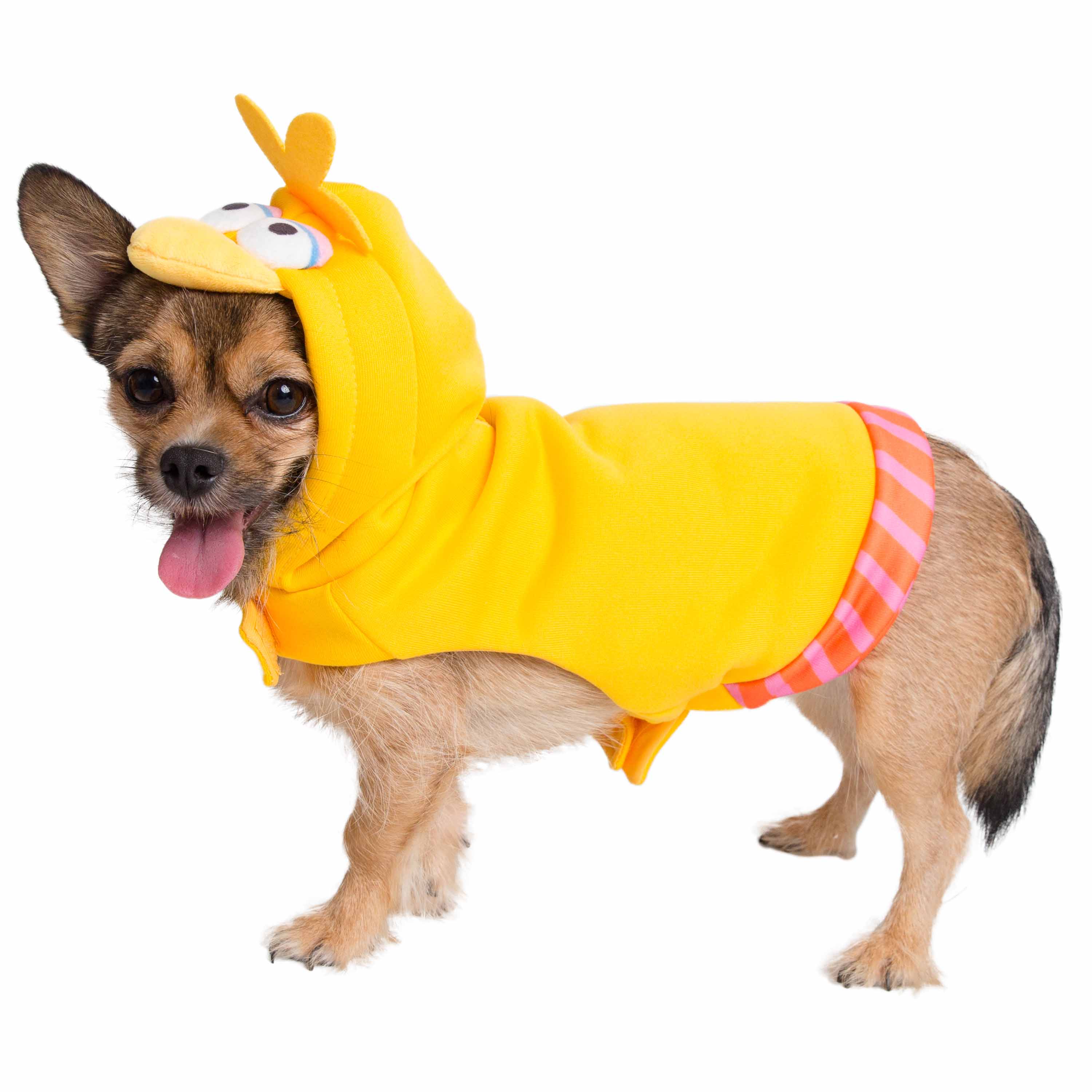 Dog in duck clearance costume