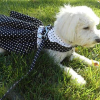 Black Polka Dot Harness Dress with Leash - 3 Red Rovers