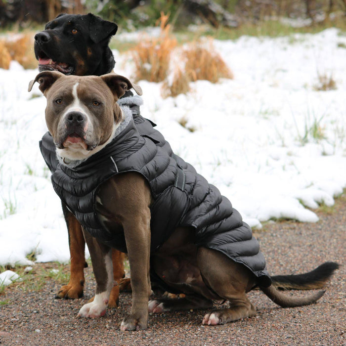 Alpine Puffer Coat - Black - 3 Red Rovers