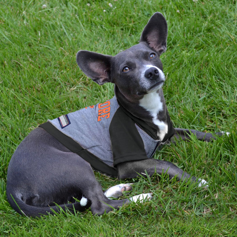 Baltimore Orioles Lightweight Pet Hoodie - 3 Red Rovers