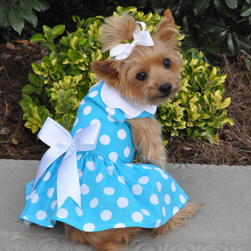 Blue Polka Dot Dress with Matching Leash - 3 Red Rovers