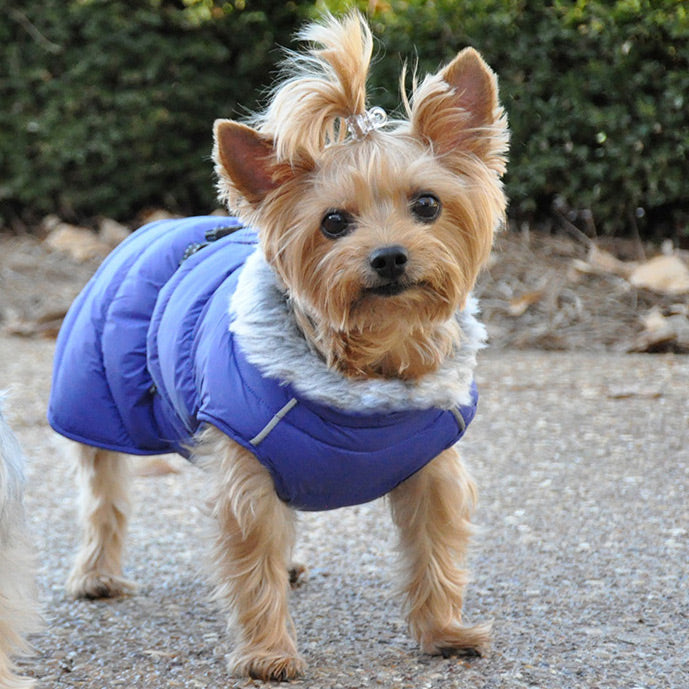 Alpine Extreme Weather Puffer Coat - Blue