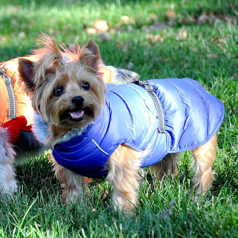 Alpine extreme weather puffer coat dog best sale