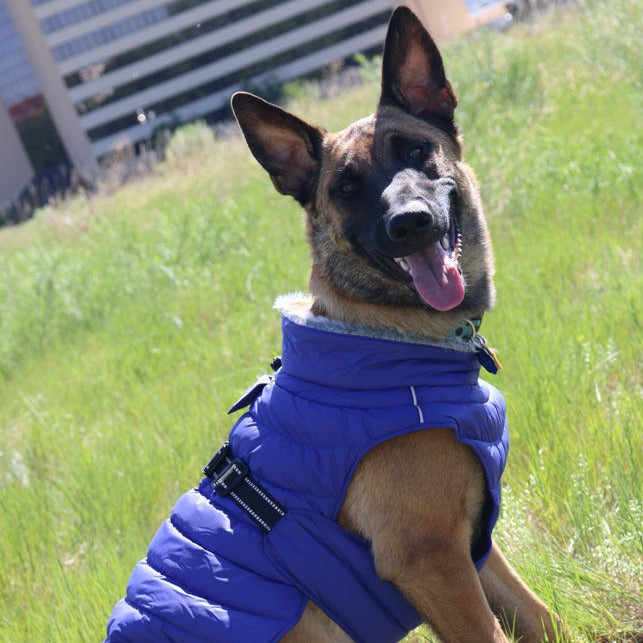 Alpine Extreme Weather Puffer Coat - Blue