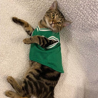 Pets First Boston Celtics Pet Jersey - Small
