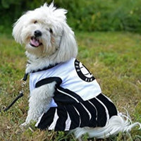 Brooklyn Nets Cheerleader Dress - 3 Red Rovers