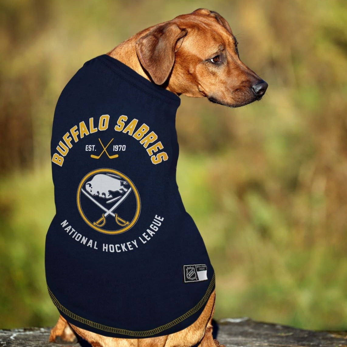 Sabres discount tee shirt