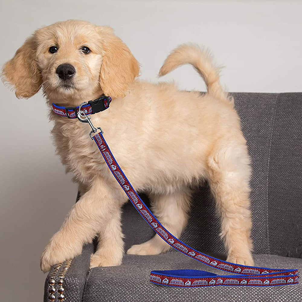 Dog hotsell harness avalanche