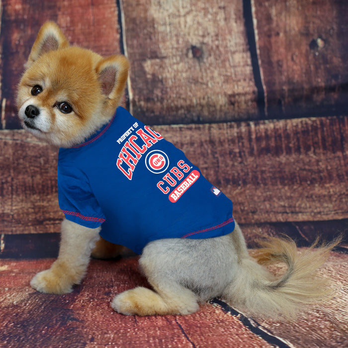 Pets First MLB Chicago Cubs Reversible T-Shirt,Small for Dogs & Cats. A Pet  Shirt with The Team Logo That Comes with 2 Designs; Stripe Tee Shirt on