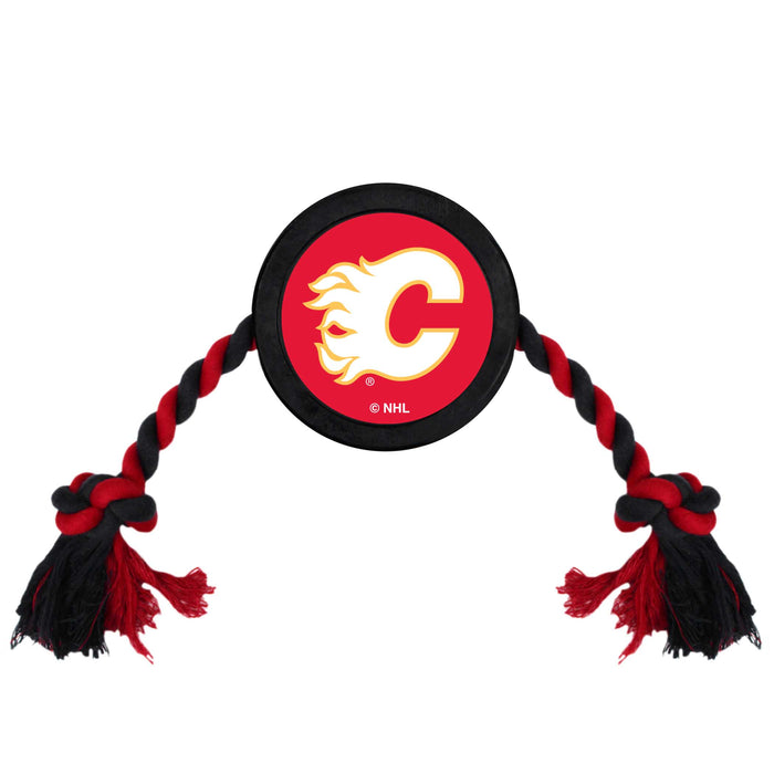 Calgary Flames – Red Lizard Sports
