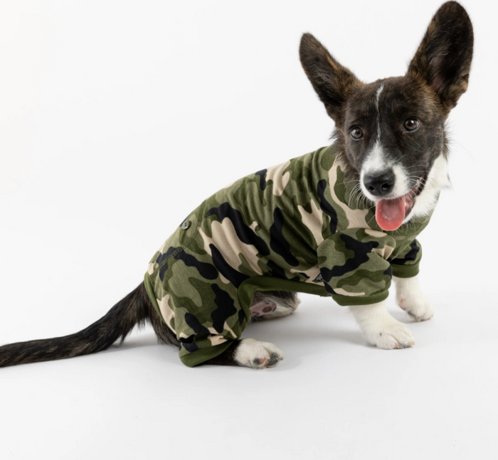 Los Angeles Chargers Pet PJs – 3 Red Rovers