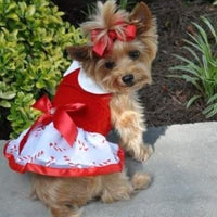 Candy Cane Rhinestone Harness Dress with Leash - 3 Red Rovers