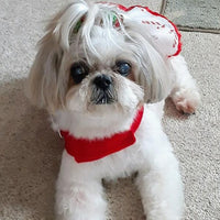 Candy Cane Rhinestone Harness Dress with Leash - 3 Red Rovers