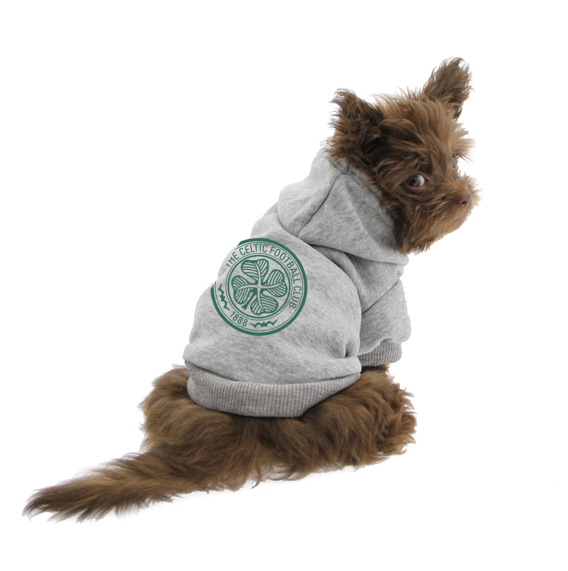 Celtic top hoodies cheap