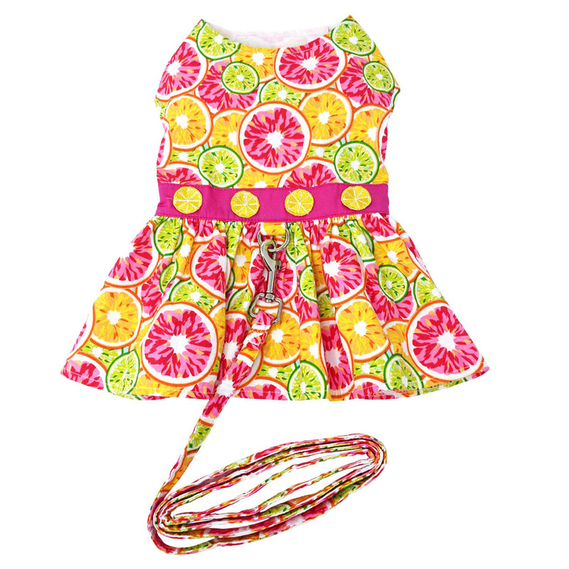 Citrus Slice Harness Dress with Leash - 3 Red Rovers