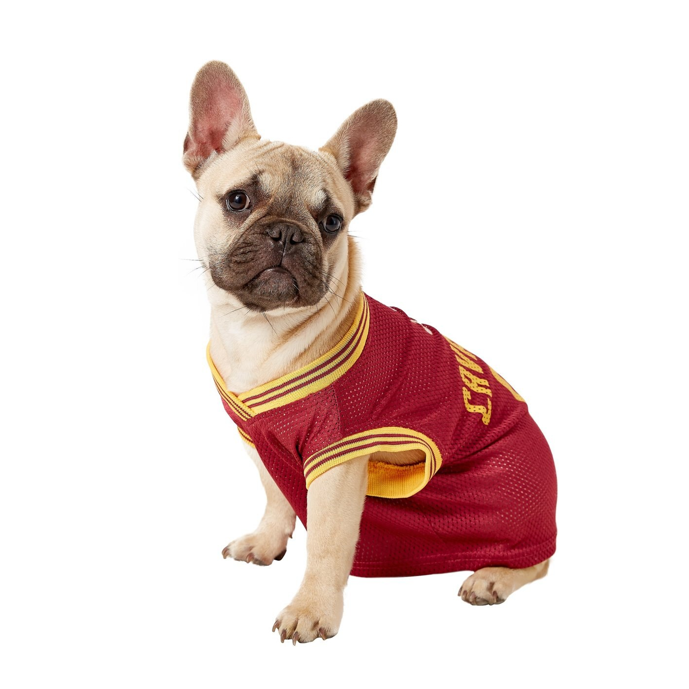 lebron james dog jersey