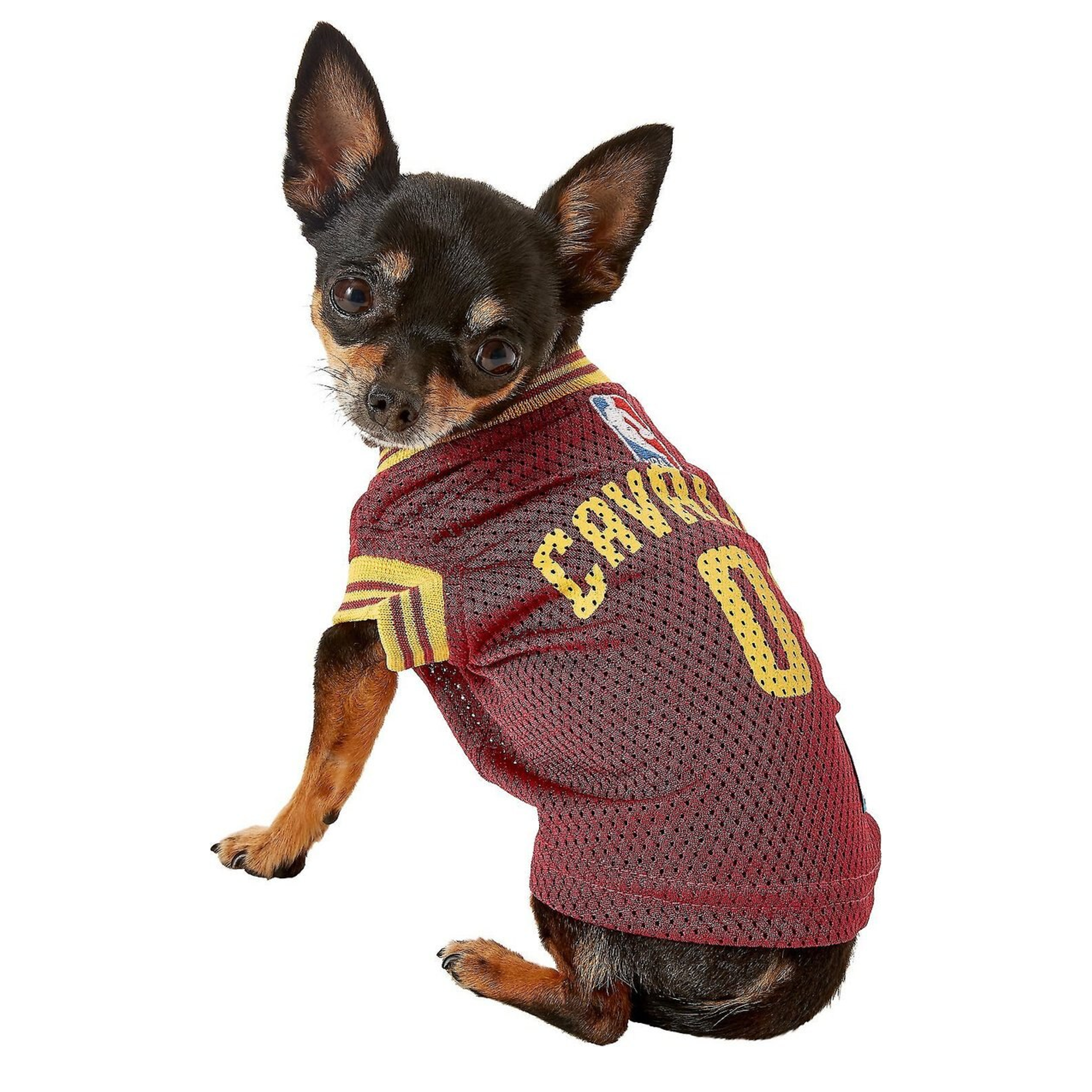 lebron james dog jersey