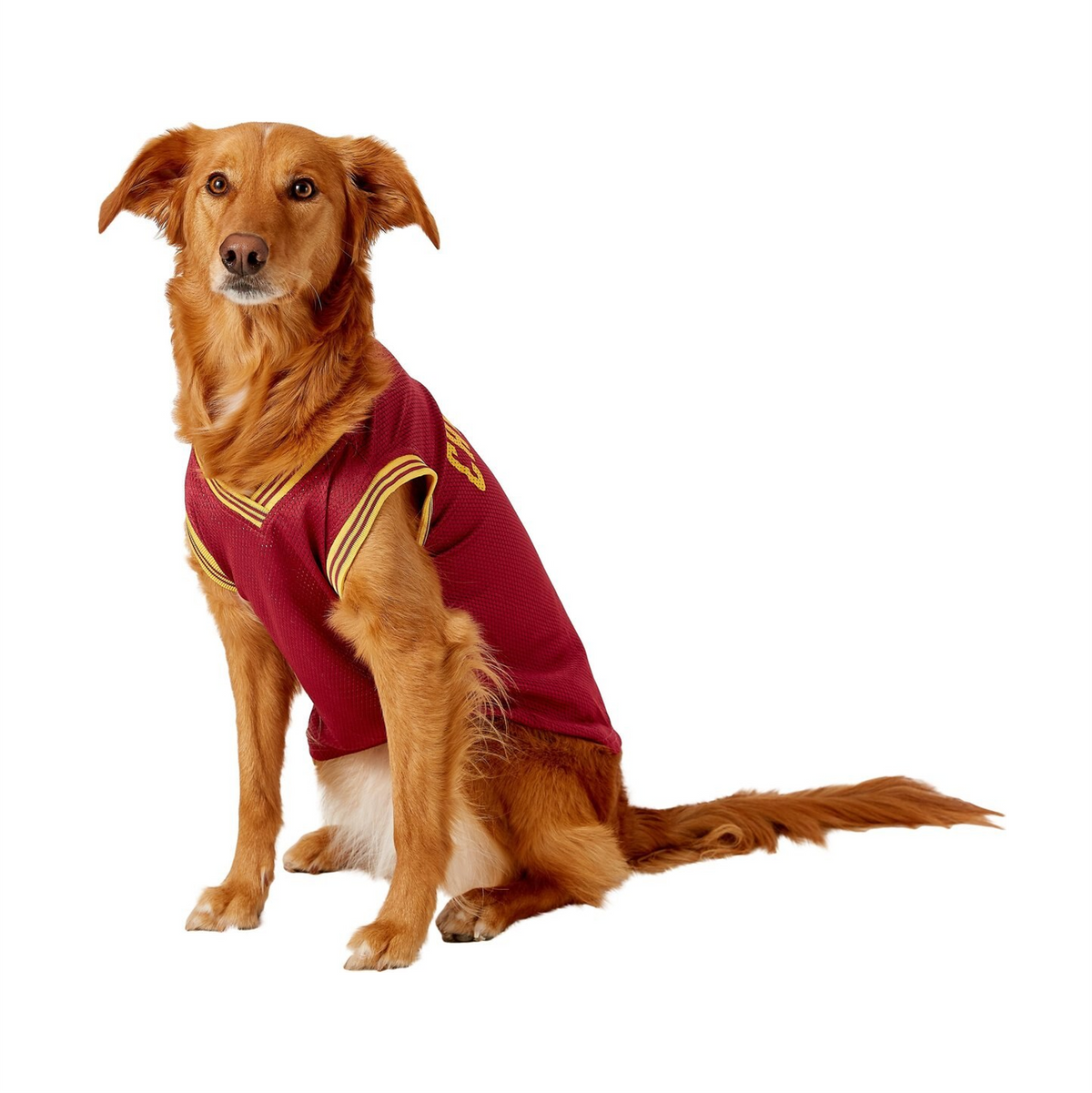Cleveland Cavaliers Pet Jersey – 3 Red Rovers