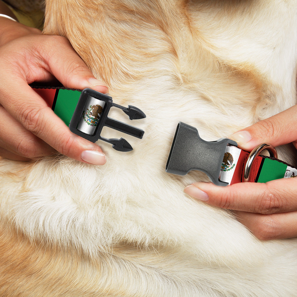 Mexico Flag Collar and Leash - 3 Red Rovers