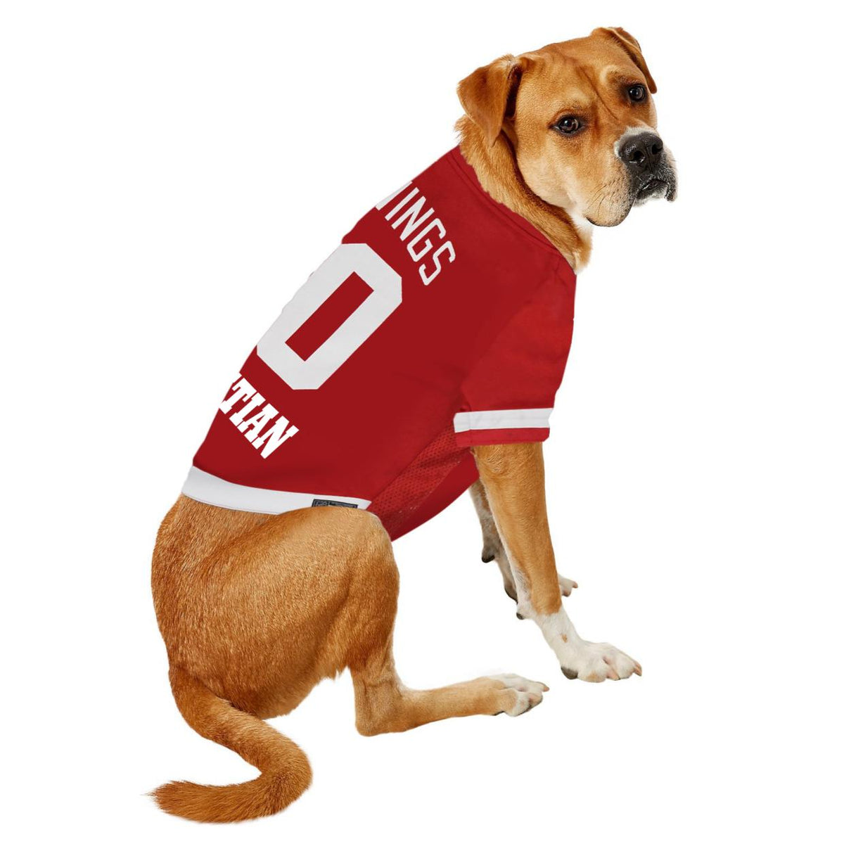 Detroit Red Wings Premium Pet Jersey - 3 Red Rovers