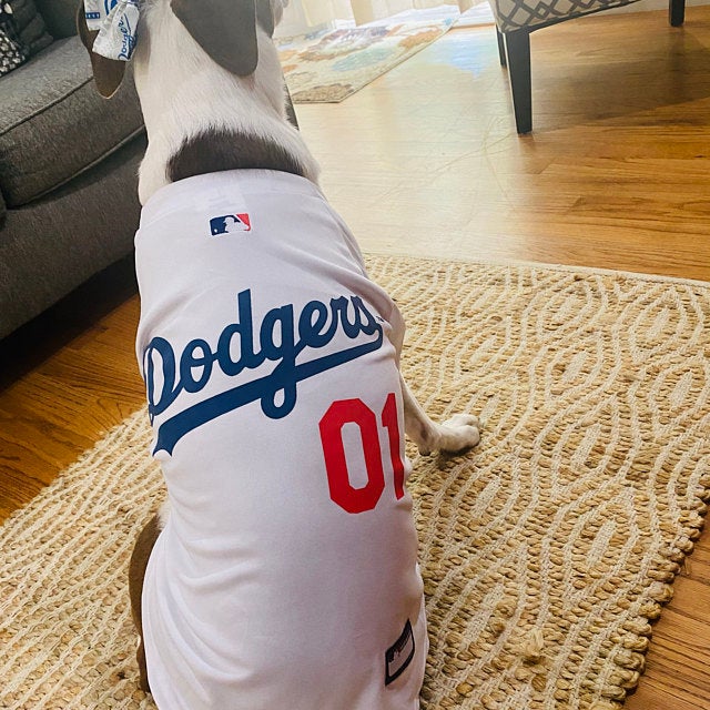 puppy dodgers jersey
