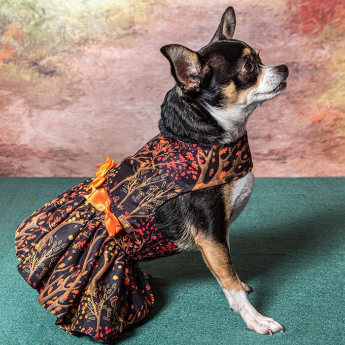 Fall Leaves Harness Dress with Leash - 3 Red Rovers