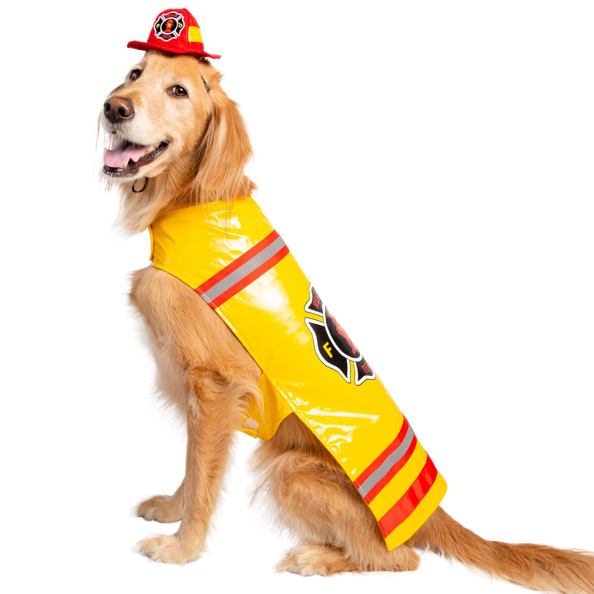 San Francisco 49ers Cheerleader Dog Costume  Pet halloween costumes, Dog  halloween costumes, Dog cheerleader
