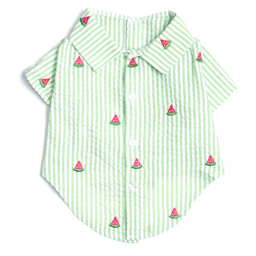 Green Striped Watermelon Shirt - 3 Red Rovers