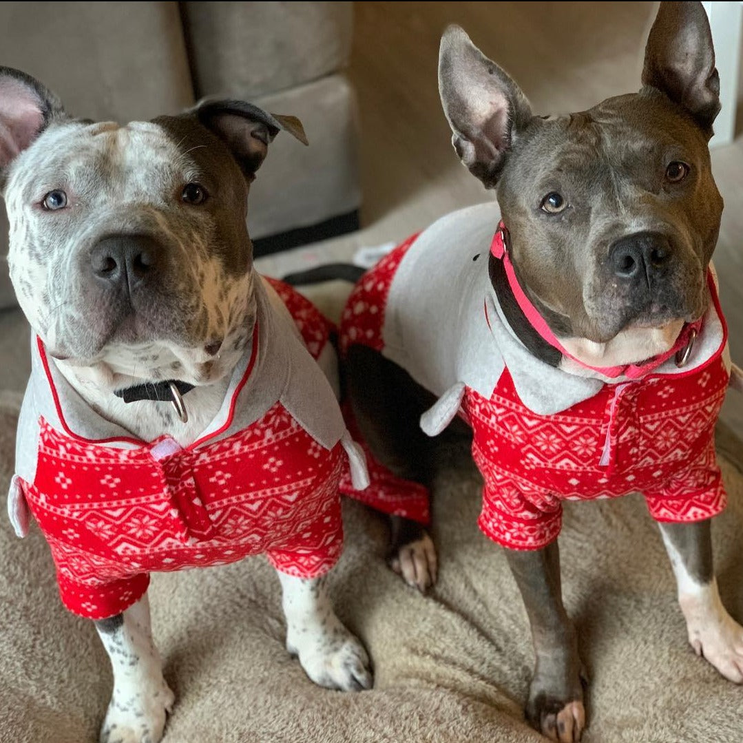 Dog Pajamas for Small Dogs Red Plaid Dog Pajamas Soft Flannel Pjs Dog  Christmas Pajamas Pet Clothes Warm and Cozy (S)