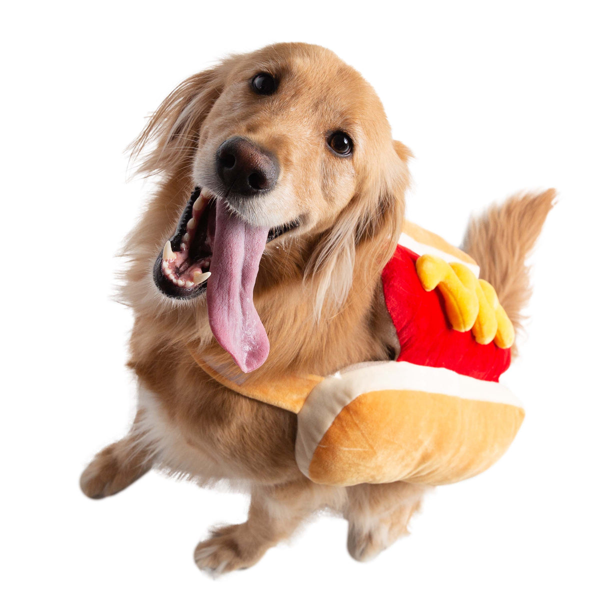 Hot Dog Pet Costume - 3 Red Rovers