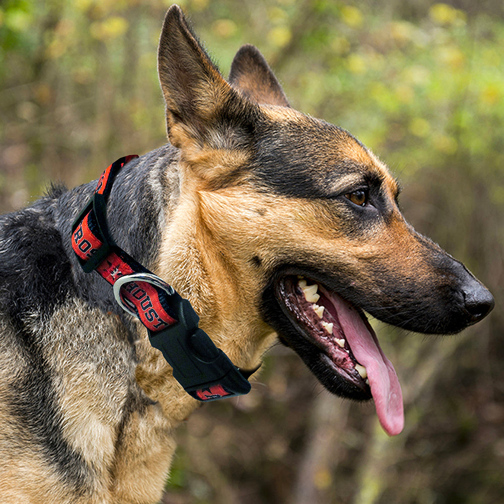 Houston Astros Dog Collar - Large - READY TO SHIP - 3 Red Rovers