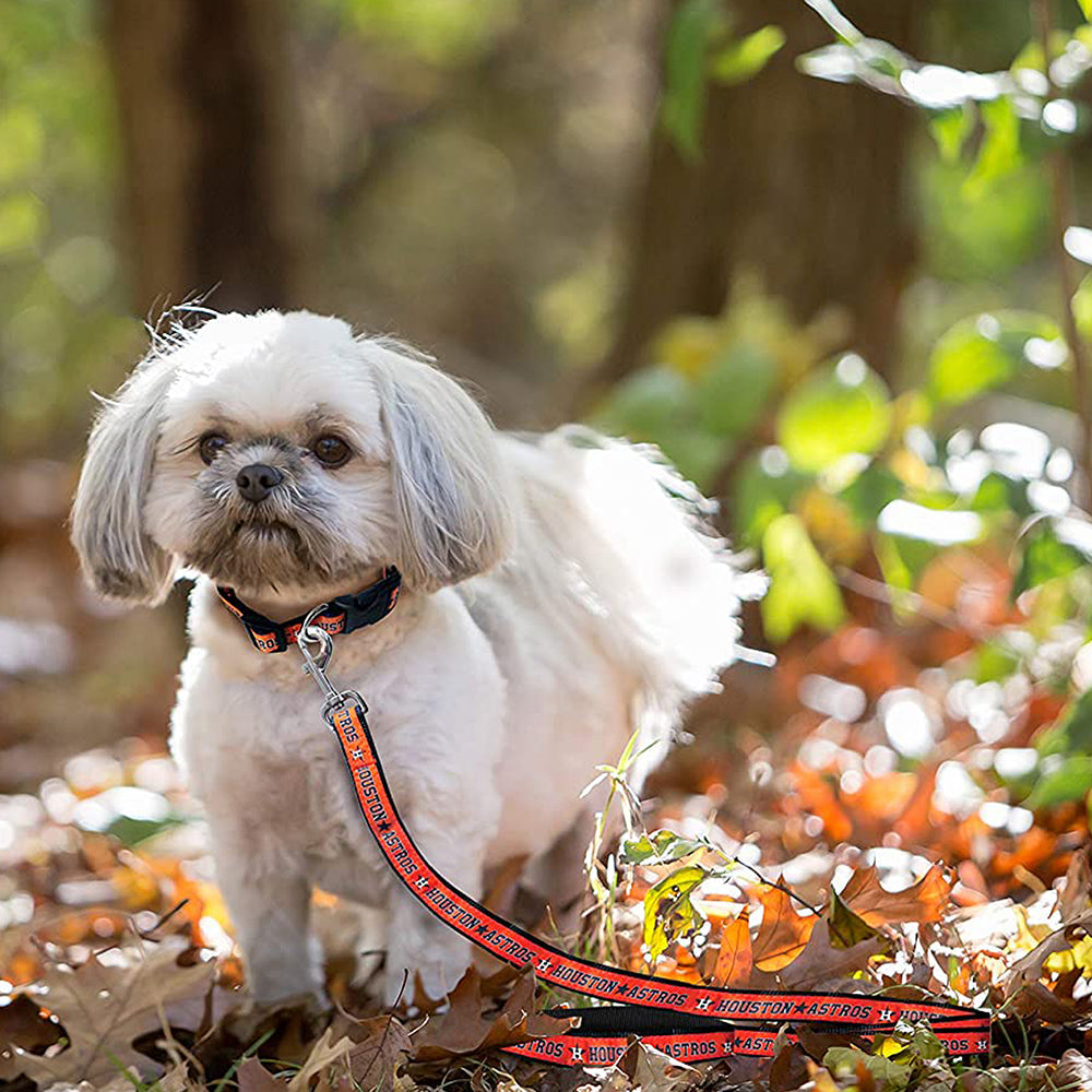 Houston Astros Dog Collar - Large - READY TO SHIP - 3 Red Rovers
