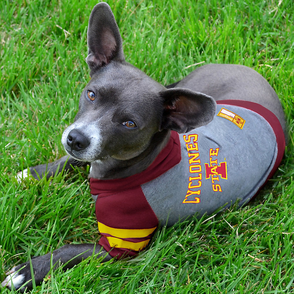 West ham dog clearance coat