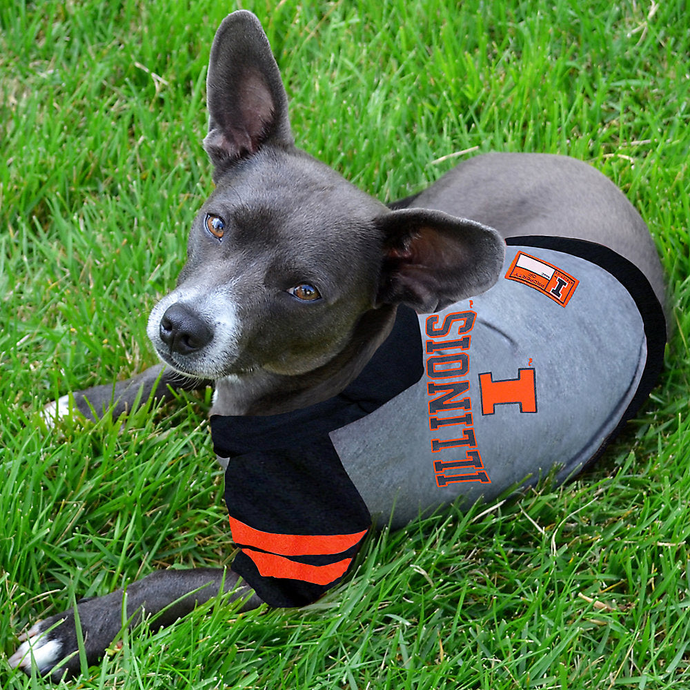 IL Fighting Illini Lightweight Pet Hoodie - 3 Red Rovers