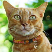 IA State Cyclones Cat Collar - 3 Red Rovers