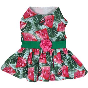 Juicy Watermelon Harness Dress with Leash - 3 Red Rovers