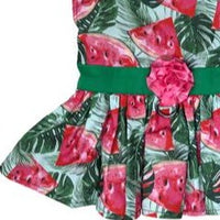 Juicy Watermelon Harness Dress with Leash - 3 Red Rovers