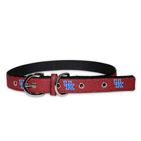 KY Wildcats Pro Dog Collar - 3 Red Rovers